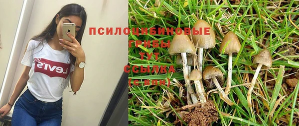 мдпв Богданович