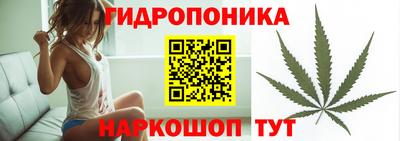 дживик Волжск